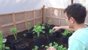 Huertos de autocultivo para el hogar con Sembra out-0-46