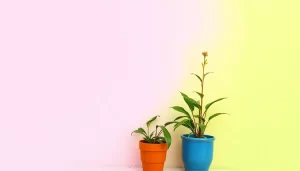 Colores ideales para pintar pasillos y darles vida out-0-794